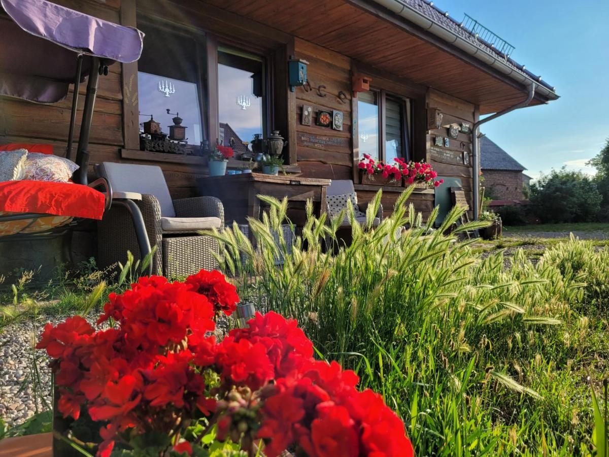 Dom Goscinny Ptaszarnia - Natura-Free Parking Świnoujście Buitenkant foto