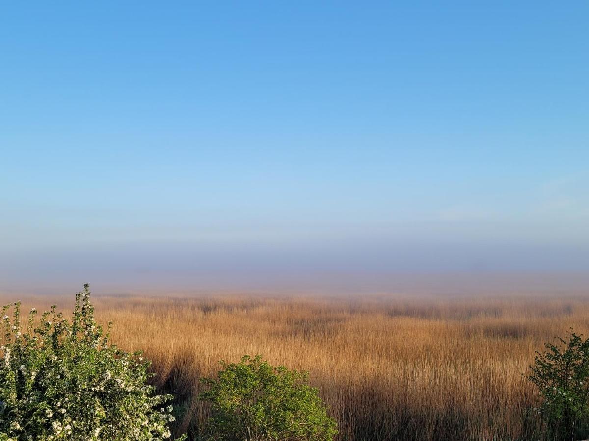 Dom Goscinny Ptaszarnia - Natura-Free Parking Świnoujście Buitenkant foto