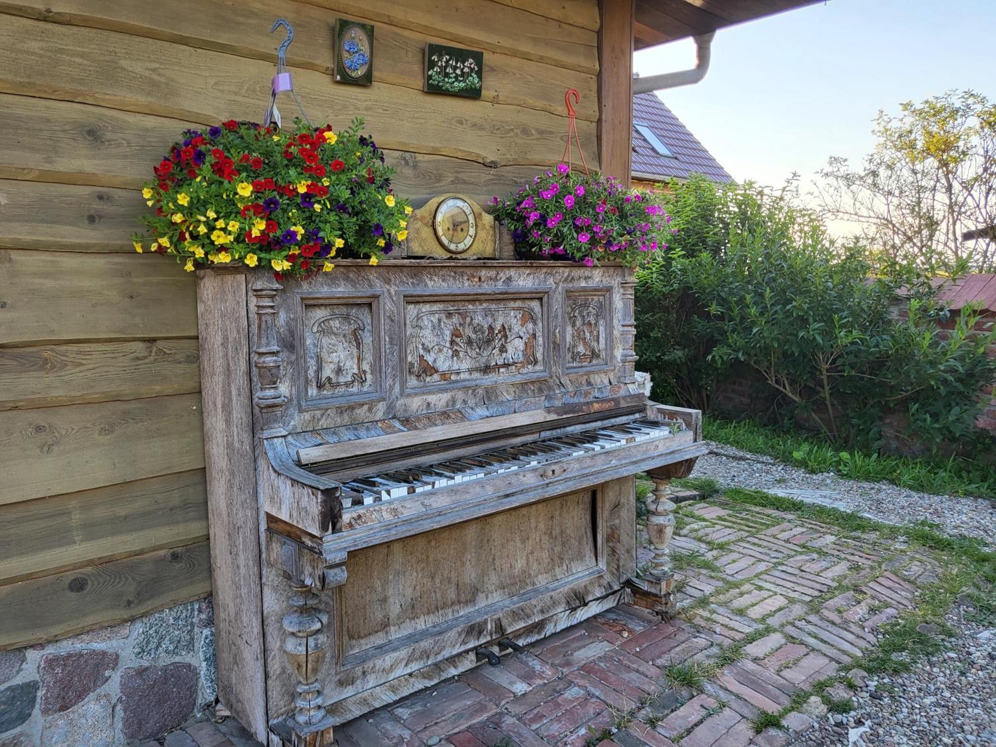 Dom Goscinny Ptaszarnia - Natura-Free Parking Świnoujście Buitenkant foto