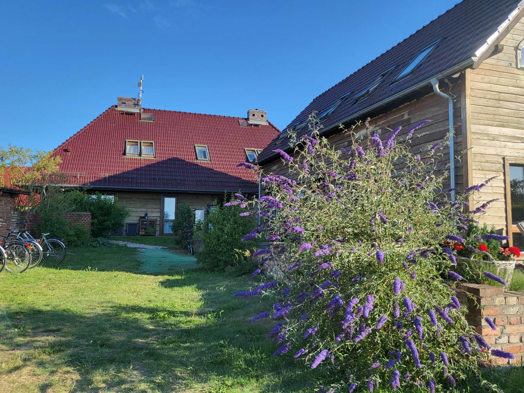 Dom Goscinny Ptaszarnia - Natura-Free Parking Świnoujście Buitenkant foto