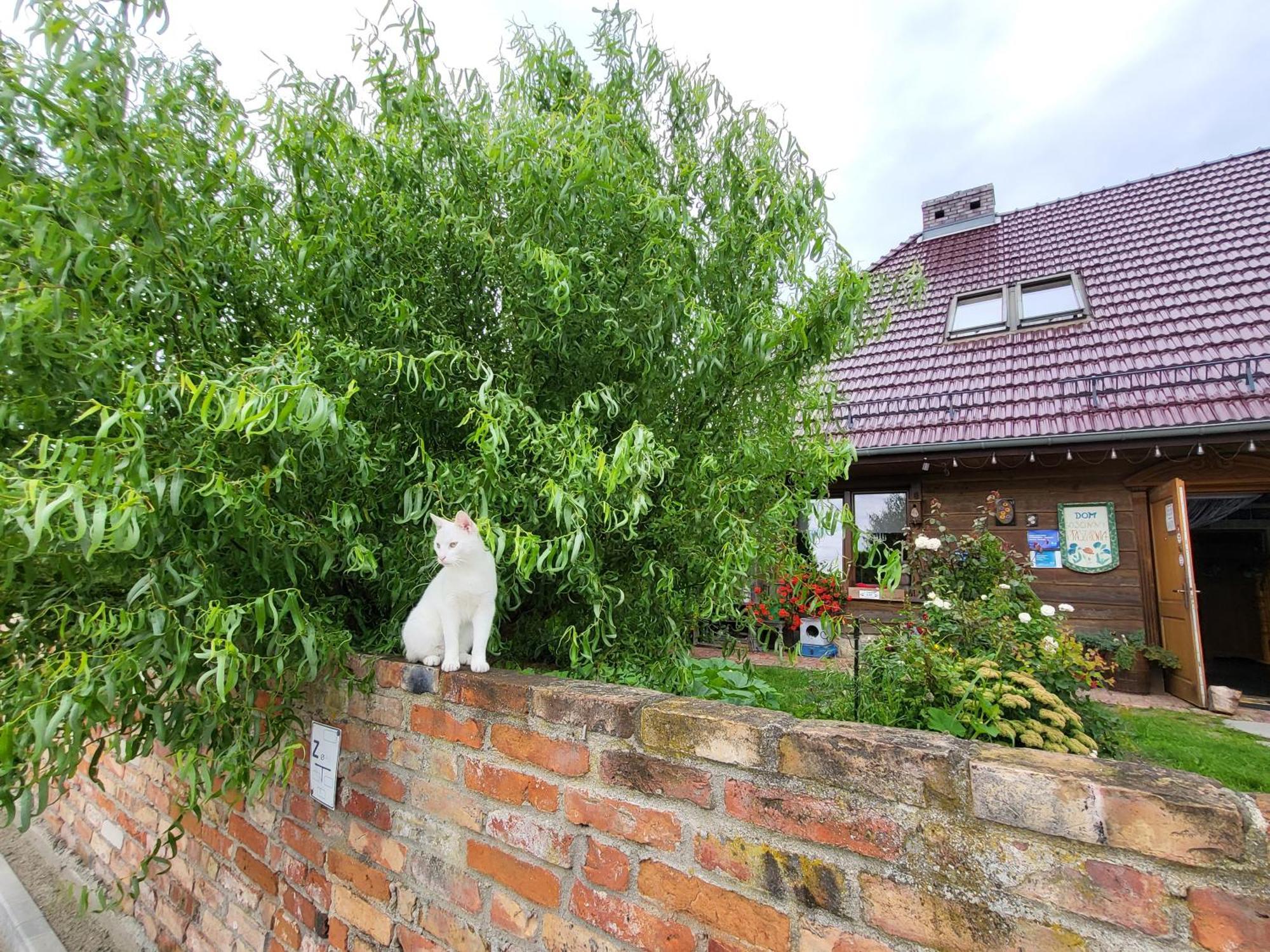 Dom Goscinny Ptaszarnia - Natura-Free Parking Świnoujście Buitenkant foto
